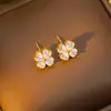 Colar de Trevo de Quatro Folhas Cravejado com Zircônia Popular Transfronteiriço, Conjunto de Joias para Mulheres de Moda de Nicho de Luxo Leve, Corrente para Clavícula e Brincos que Não Desbotam