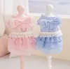 26 Años de Primavera y Verano Gato Encaje Lazo Transpirable Delgado Vestido Vestido de Verano Ropa para Gatos y Perros Ropa para Mascotas