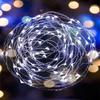 Cordão de luz LED transfronteiriço lâmpada de fio de cobre caixa de bateria de botão fio de cobre luzes de Natal para interior e exterior cordão de luz decorativo para jardim