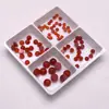 Pedra Solta Redonda Lisa de Ágata Vermelha com Fundo Plano, Gema de Ágata Vermelha com Fundo Plano para DIY, Pedra Solta Vermelho Coral para Nail Art, Superfície Semi-Arredondada