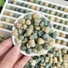Col Blanca a la Parrilla de Carbón, Piezas de Talla de Raíz de Bodhi de Jade Blanco, Cuentas Sueltas, Accesorios, Pulseras Hechas a Mano para DIY, Accesorios para Cuerdas de Mano, Venta al por Mayor