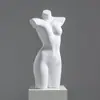 Mannequins de Meia-Corpo Masculino e Feminino para Exposição de Lingerie, Rack para Vitrine de Loja de Lingerie, Manequim, Rack para Exposição de Maiôs e Sutiãs, Modelo de Prateleira