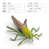Simulación Transfronteriza Modelo de Araña Real Unicornio Insecto Juguetes para Niños Mariposa Abeja Adornos de Animales