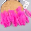 Directo de fábrica alta calidad color Pluma Mujer cabello DIY decoración de plumas joyería hecha a mano relleno de caja de regalo de plumas