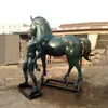 El Gran Caballo de Cobre Tiene Éxito. Escultura de Caballo de Cobre Puro Estilo Europeo. Empaque, Transporte, Entrega a Domicilio e Instalación de Caballo de Cobre para Jardín
