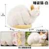 Traje de modelo de gato animal de simulación para niños, juego de gato, gatito, modelo de gatito blanco y negro, juguetes, adornos