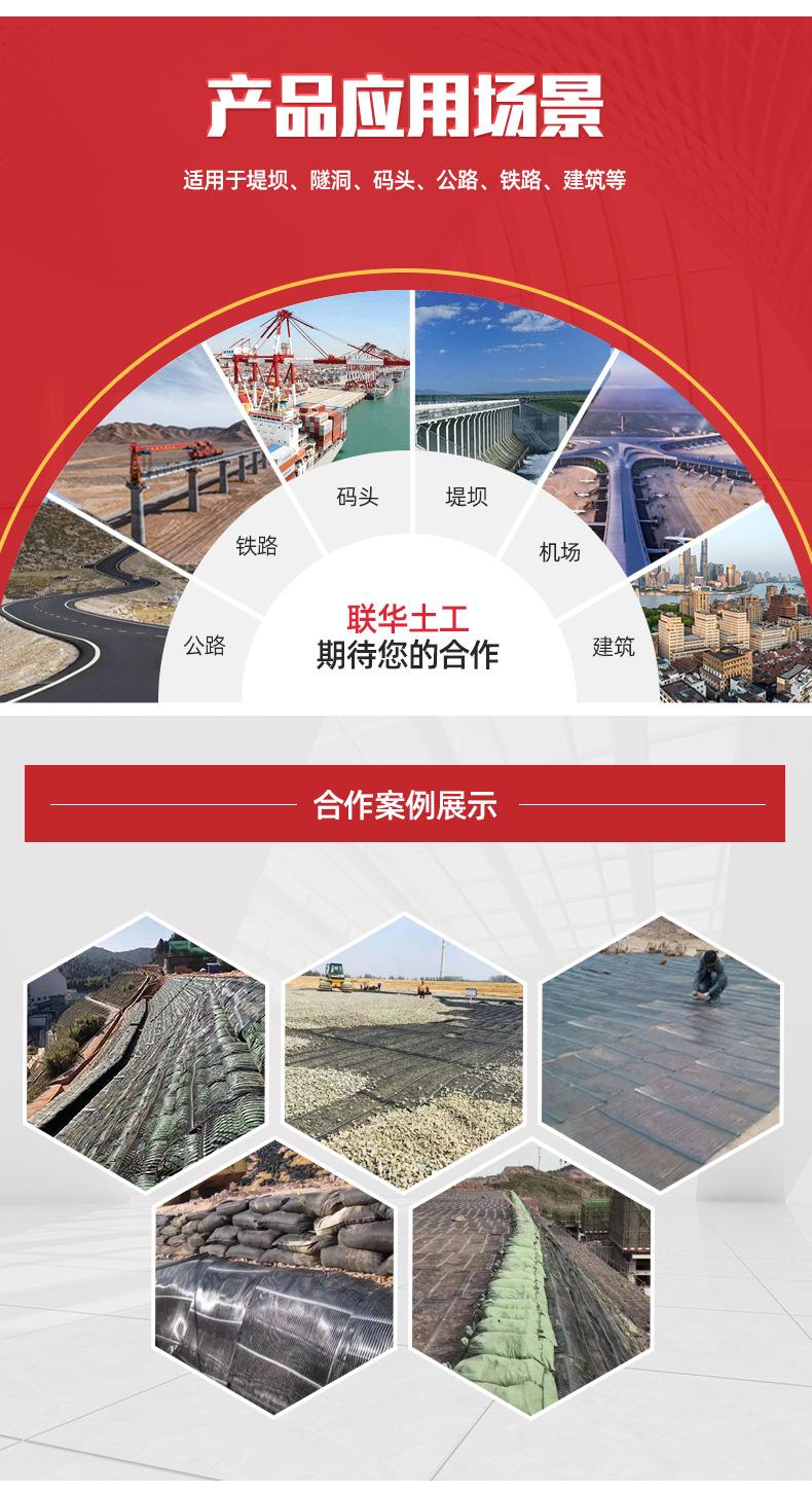 1单向塑料土工格栅_07.jpg