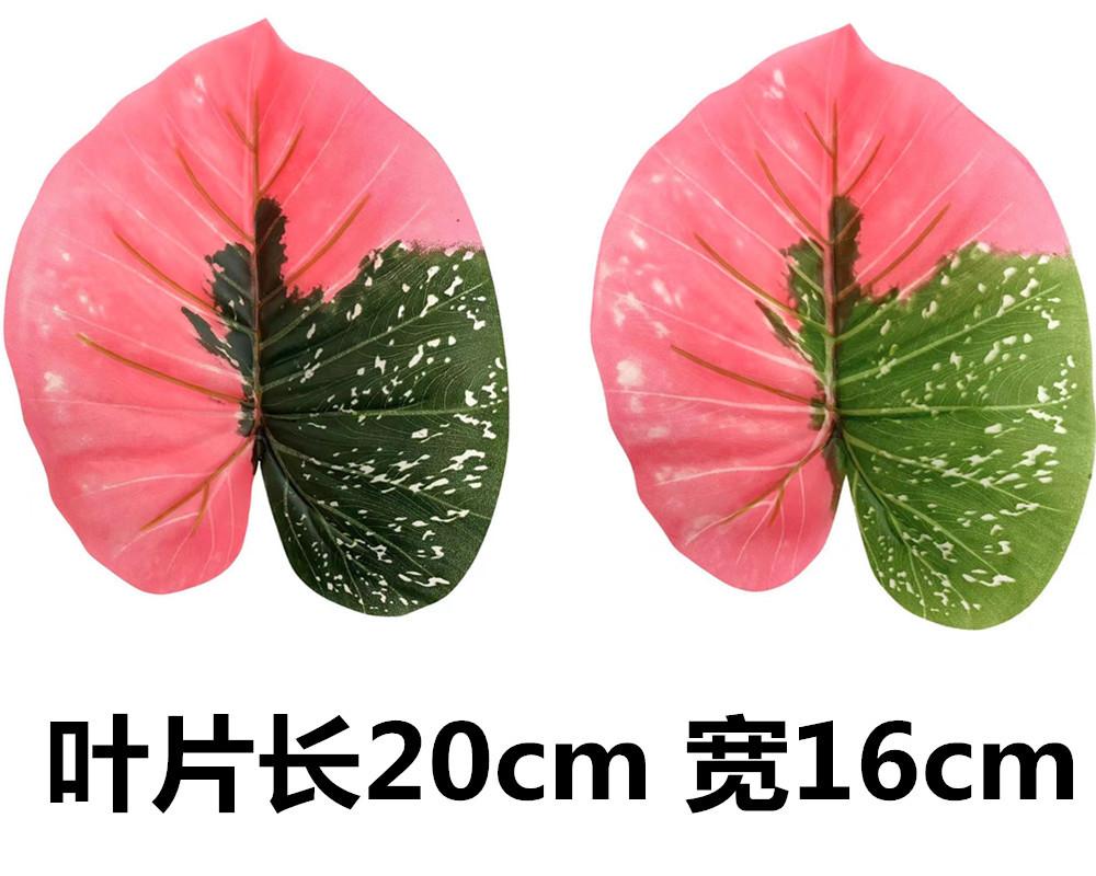 未命名_副本1
