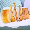 Palo de Masaje Facial Lifting, Cepillo Meridian, Herramienta de Belleza para Puntos de Acupuntura de Pies, Bolígrafo de Acupresión, Tabla Raspadora de Masaje para la Salud de Resina