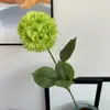 2026 Nuevo Modelo Plantas Verdes Artificiales Hierba de Espárrago Asparagus Asparaginea Decoración de Boda Flores Falsas Verdes Paisajismo Fotografía Plantas Verdes Estilo Bosque