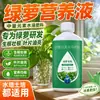 Solución nutritiva y fertilizante especiales para hiedra verde, adecuados para plantas hidropónicas y hiedra verde en maceta, fertilizante líquido de grado comercial para flores, uso doméstico, previene el amarillamiento de las hojas