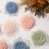 Nuevo Estilo Chino Suave Elegante Tela Encaje Rosa DIY Hecho a Mano Versátil Pasador Accesorios para el Cabello Accesorios para Ropa Venta al por Mayor