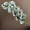 Estampado de algodón de silicona Phalaenopsis, modelo moderno y sencillo para el hogar, habitación, hotel, decoración, accesorios de fotografía de boda, flor de Año Nuevo
