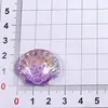 Accesorios de Resina de Estrella de Mar y Concha Marina Degradado Materiales Creativos Hechos a Mano para DIY Accesorios para el Cabello de Niños Colgantes Dijes