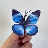Simulación Estéreo 3D Mariposa Caperucita Roja Explosiones Atmósfera Decoración de Ventana de Mariposa Pasador Tocados Material diy