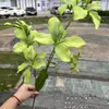 Fabricante de Flores Artificiales para Bodas Verdes Hortensia Verde Rosa Rocío de Golondrina Loto Bola de Cebolla Decoración Suave para Bodas Flor Artificial al por Mayor