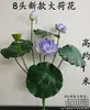 Flores de Loto Simuladas, Hojas de Loto Falsas para Estanques, Nenúfares para Paisajismo, Decoración para Acuarios, Accesorios para Espectáculos de Danza, Flores Artificiales de Alta Gama