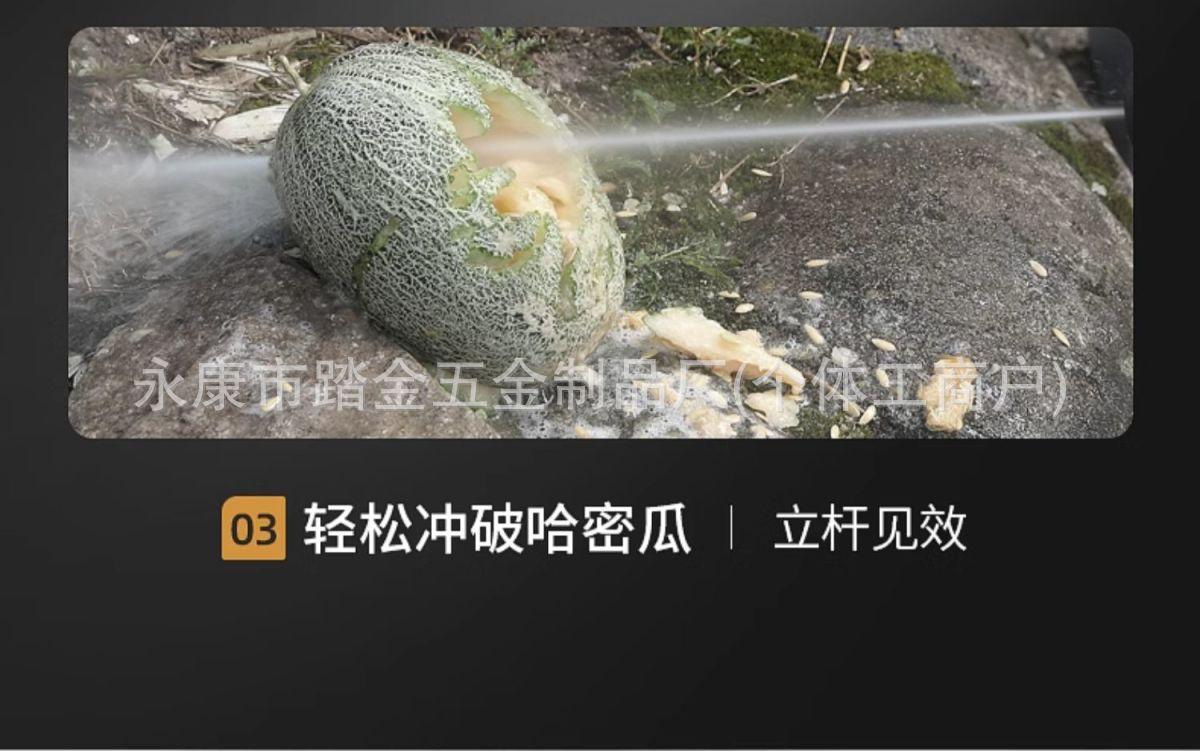 1723169259268-372184896