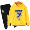 Conjunto de Ropa para Niños Transfronterizo Amazon Aliexpress Comercio Exterior Dropshipping para Niños Mayores Sudadera con Capucha y Pantalones de Chándal Conjunto de Dos Piezas