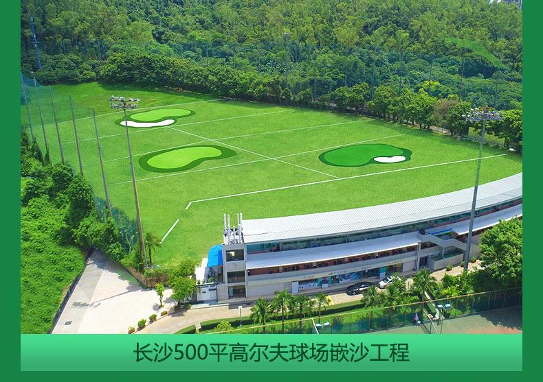 高尔夫果岭_15