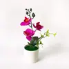 Bonsái de Orquídea Phalaenopsis Artificial Decoración del Hogar Película de Simulación Planta en Maceta Flor Falsa Arreglo para Fotografía Planta Verde Maceta Pequeña