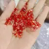 Venta al por mayor del fabricante Colgantes, Pulseras, Collares, Anillos y Materiales para Cordones de Gota de Agua Suculenta Hechos a Mano para DIY