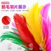 Volante de Plumas para Competición, Volante de Loto Colorido, Alta Calidad, No se Desprende, Adecuado para Estudiantes de Primaria y Secundaria, Niños, En Stock