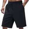 Shorts de Verão Masculino Europeu e Americano Transfronteiriço, Soltos, Peso Pesado, Textura Jacquard, Linha de Galho, Tendência High Street Hip-Hop