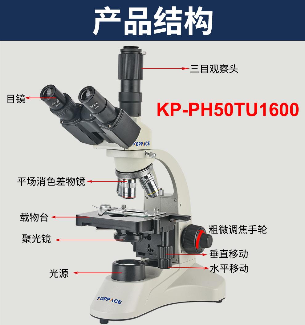 详情09.jpg