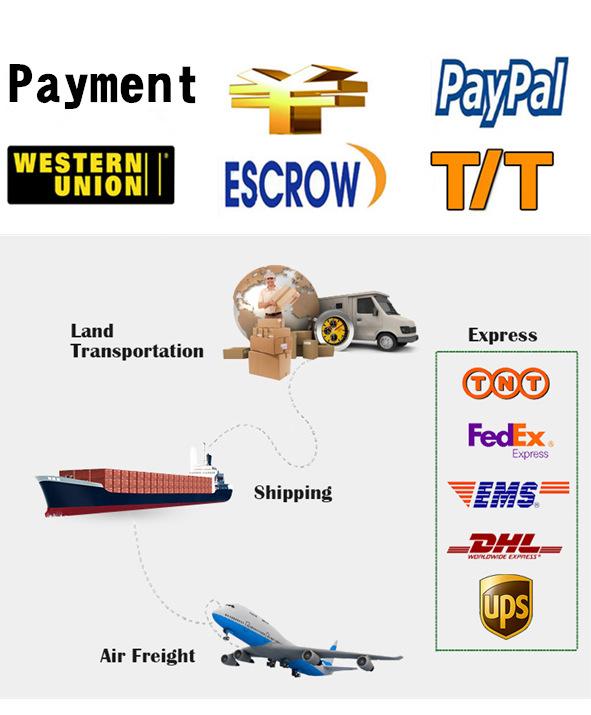 b4bbee5a5ed94574412c878707200e