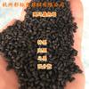 Negro Especial Negro Brillante Madre Negra 99688 Negro de Dispersión Fuerte Resistente a la Temperatura Resistente a la Intemperie Negro Negro Madre 99688 Negro Especial