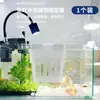 Suporte para fixação de plantas hidropônicas de aquário, cesto de plantio, montado na parede, copo para plantio de plantas aquáticas domésticas, decoração paisagística de aquário, vaso de flores