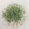 Ins New Cyber Celebridade Gravel Bead Storm Shell Nail Jewelry Mica Candy Series Nail Art Material Bag