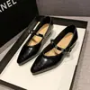 Novos Sapatos Mary Jane Femininos Retro Franceses Outono 2026 com Salto Grosso e Bico Fino