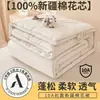 Colcha de Algodón 100% de Xinjiang Clase A Colcha Pura de Algodón para Primavera y Otoño Colcha Gruesa Cálida de Invierno Núcleo de Colcha 100% Algodón Colcha de Algodón para Dormitorio de Estudiantes 4