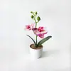 Dos orquídeas Phalaenopsis artificiales, una grande y una pequeña, hechas de plástico de tacto suave, adecuadas para decoración de fotografía de bodas en macetas pequeñas