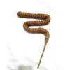 Columna de soporte flexible para trepar plantas, caña de coco flexible nueva, caña de musgo, caña de musgo flexible, poste de soporte
