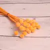 [Vila Zanhua] Yongsheng Flor Bola Dourada Flor Seca Yunnan Buquê Fruta Seca Planta Multicolorida Flor Seca Real Atacado