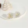 Estilo Coreano Elegante Lujo Ligero Pequeño Aroma Color de Ensueño Combinación de Colores Aretes de Rosa de Moda Aretes Transparentes Tridimensionales Aretes