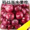 Granja Envío Gratis Cebolletas Crujientes de Piel Morada, Cebolletas Verdes Redondas Grandes, Caja Entera de Alta Calidad, Cebollas Dulces Recién Desenterradas, Verduras Frescas