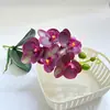 Bonsai de Phalaenopsis Único com 5 Flores Filme 3D para Interior Sala de Estar Plantas Artificiais Ornamentos Restaurante Flores Artificiais Decorativas de Chão