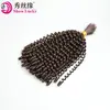Extensões de Cabelo Sintético de Fibra Química Seda de Alta Temperatura Cachos de Mola para Tranças Cabelo Sintético a Granel África