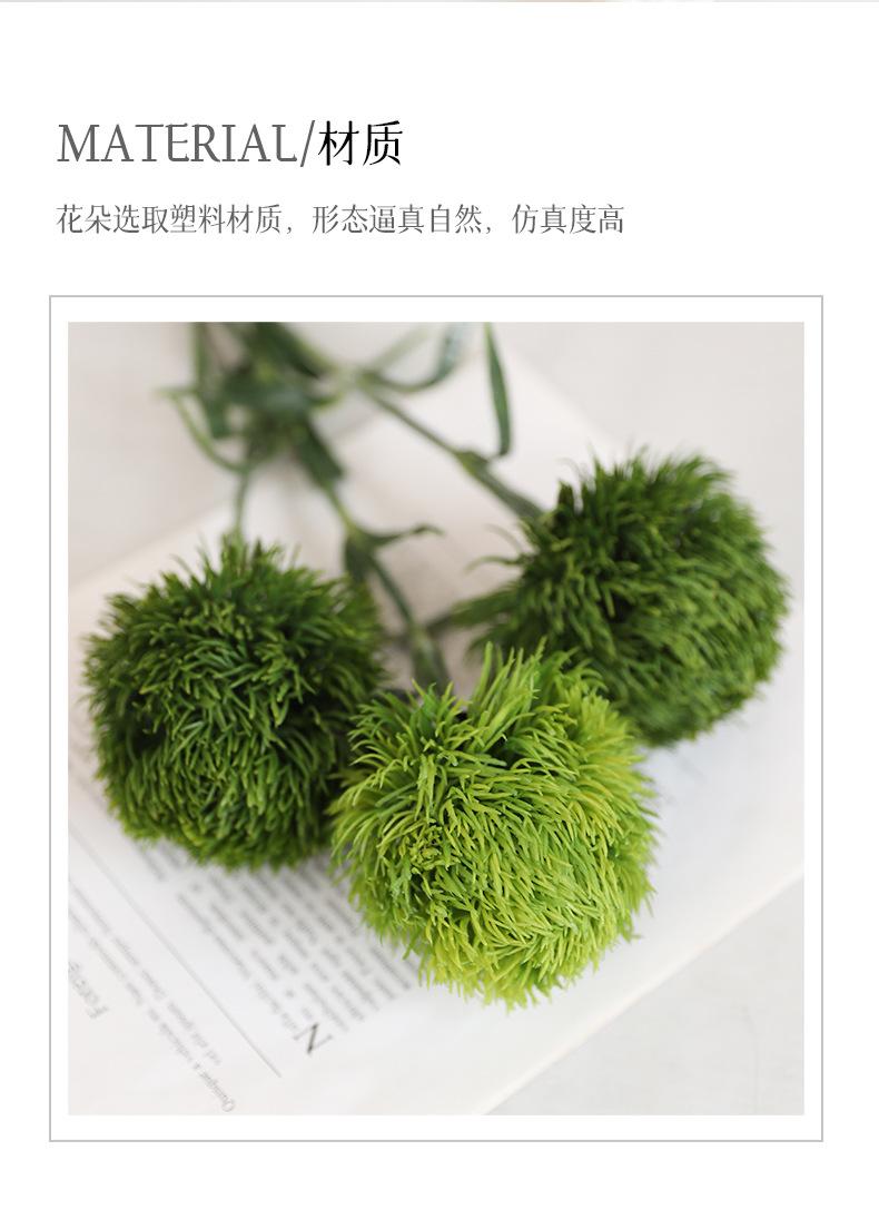 单枝绿石竹_02.jpg