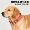 Suprimentos para Animais de Estimação Transfronteiriço Coleira com Letras de Strass, Acessórios para Coleira de Cachorro com Placa de Nome DIY, Coleira Anti-Perda para Gato