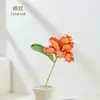 Tul Loro Flor de Ganchillo Hecha a Mano Flor de Hilo Flor de Simulación Configuración de Escena Sofisticada