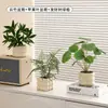 Plantas Verdes Artificiales, Flores Falsas, Flores Artificiales, Plantas Pequeñas de Escritorio en Maceta, Adornos Decorativos, Estanterías, Plantas Verdes Artificiales, Accesorios de Fotografía