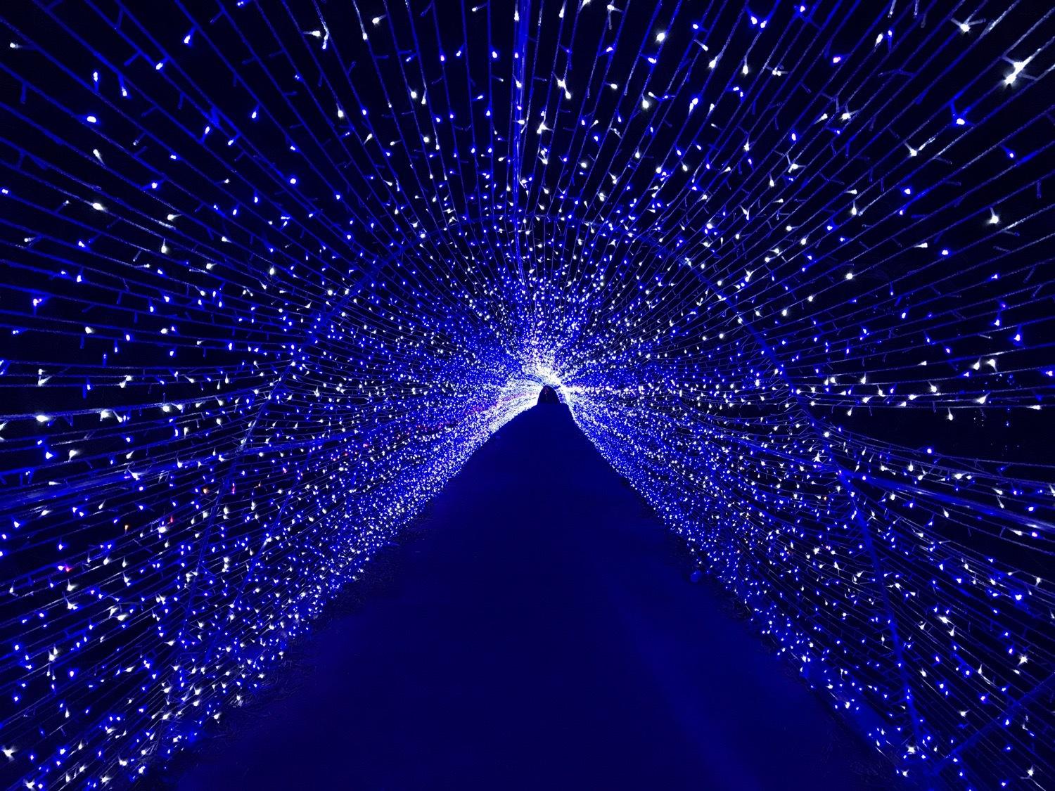 IMG_8137(20220930-082035)