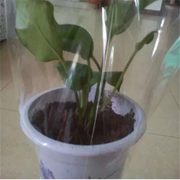 8981090516_859603845_副本