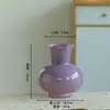 Estilo Ins Creativo Escandinavo Jarrón de Vidrio de Color Puro Gama Alta Retro Sala de Estar Hidropónico Arreglo Floral Decoración de Mesa