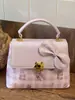Bolso Pequeño de Alto Valor Estético para Mujer, Nuevo Modelo Primavera 2026, Diseño de Nicho de Lujo Ligero, Bolso de Hombro Lindo con Lazo, Bolso Cruzado